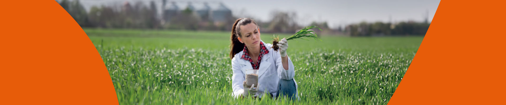 Agronomía