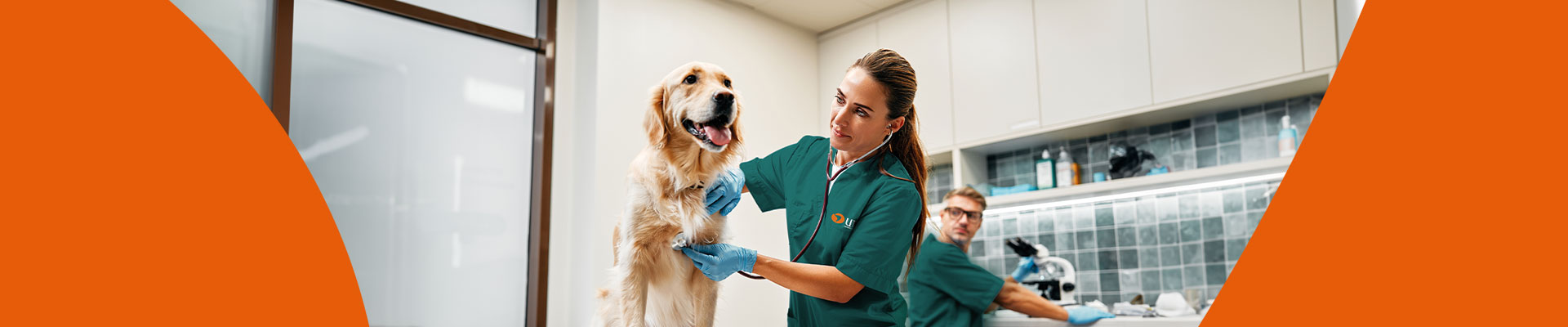 Carrera de Medicina Veterinaria Semipresencial Executive