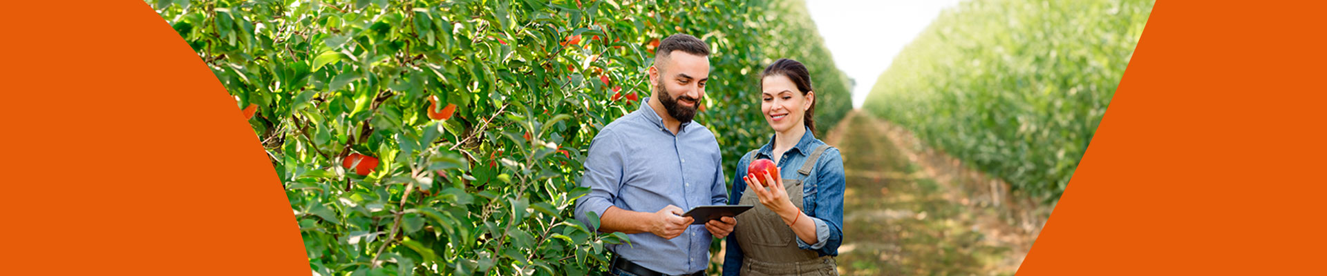 Carrera de Técnico de Nivel Superior Agrícola Semipresencial Vespertino